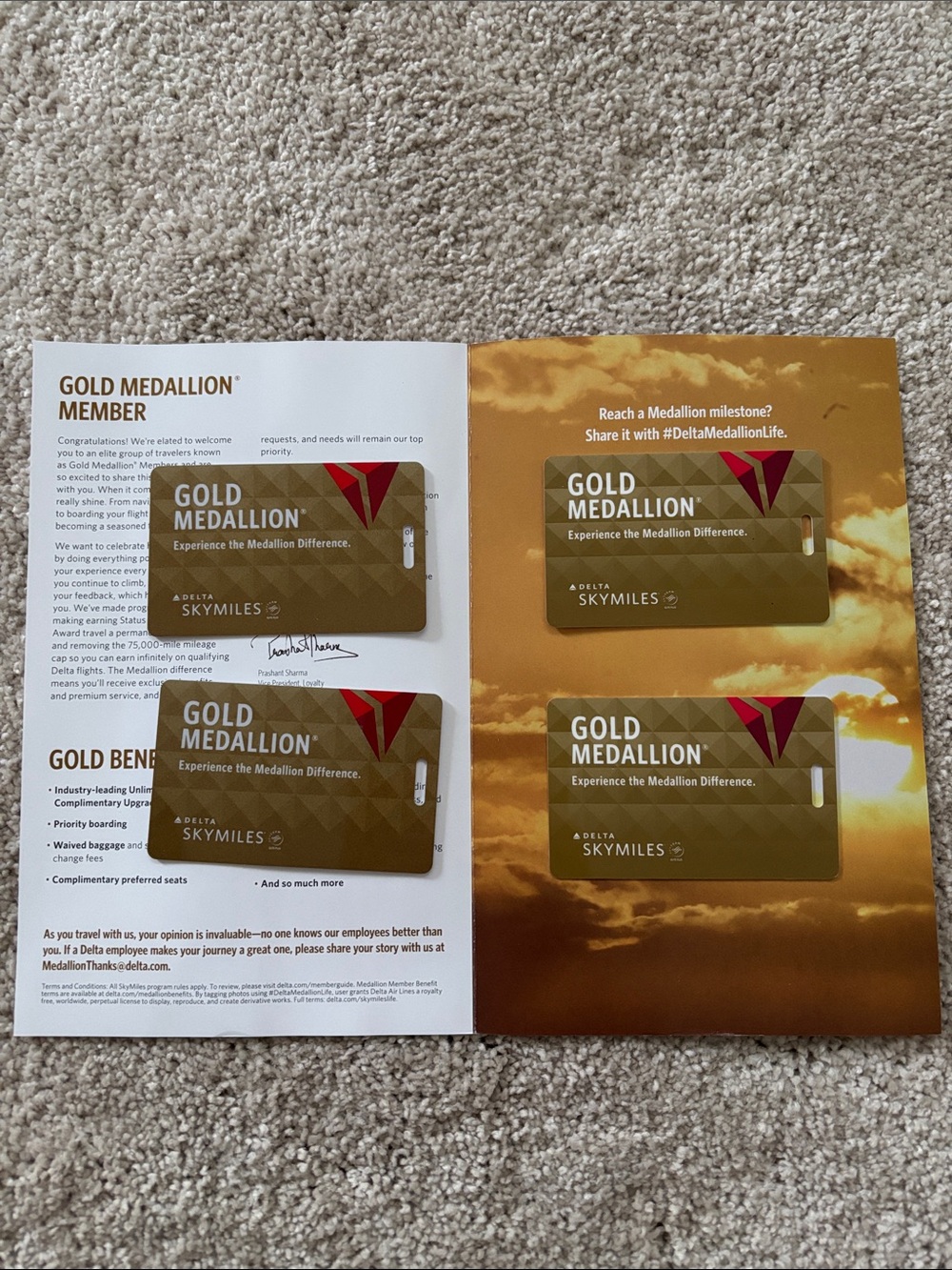 Delta Gold Medallion Bag Tags (Set of 4)